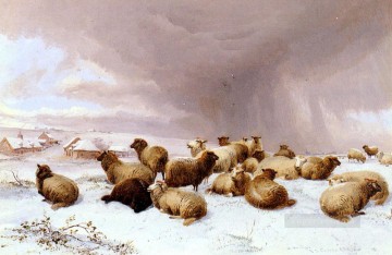 Thomas Sidney Cooper Painting - Ovejas en invierno animales de granja Thomas Sidney Cooper